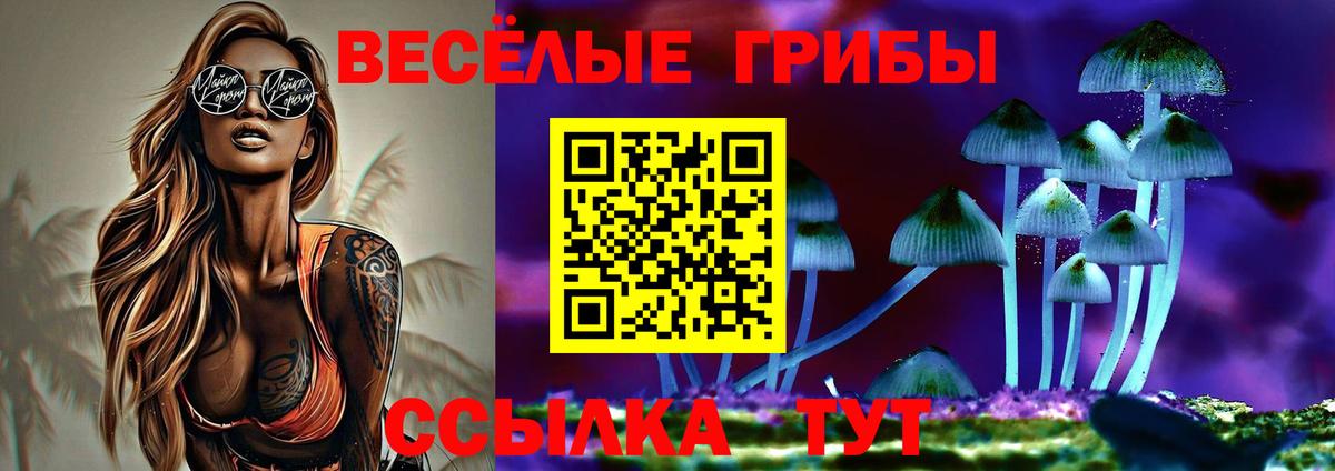Галлюциногенные грибы Cubensis Волжский